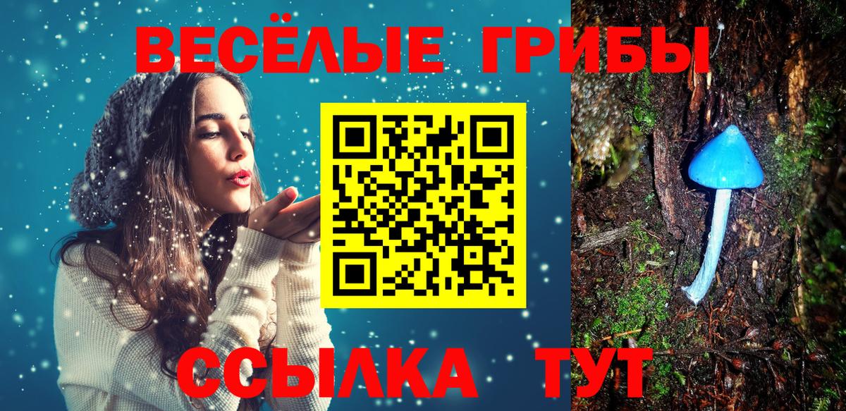 Галлюциногенные грибы мицелий  Вход с VPN  Галлюциногенные грибы Magic Shrooms  даркнет сайт  Домодедово 