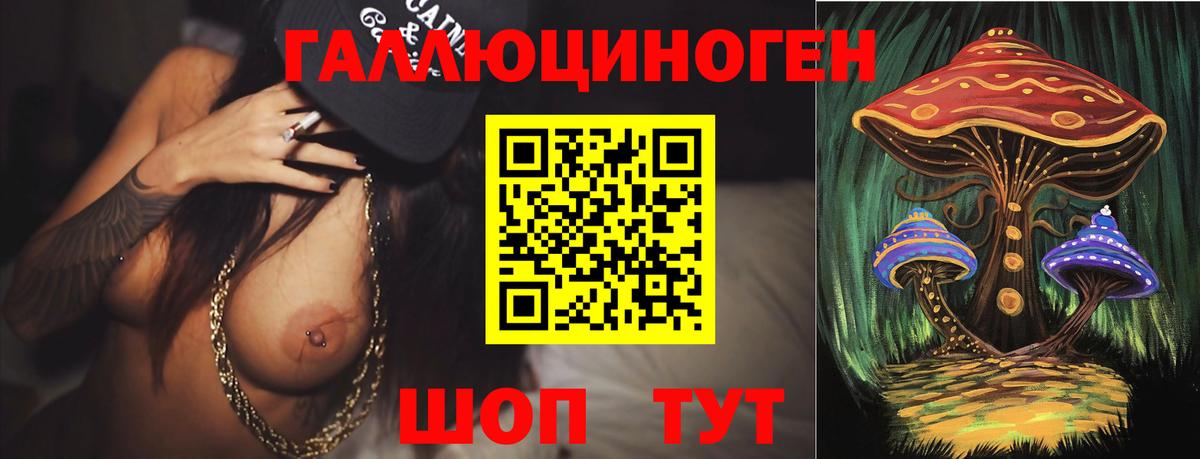 купить наркоту  Домодедово  Псилоцибиновые грибы Psilocybine cubensis 