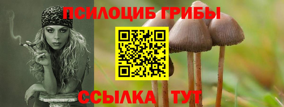 Галлюциногенные грибы Cubensis Домодедово